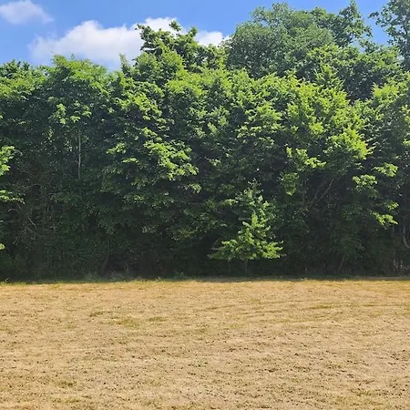 בקתה Tiny House Proximite De Bernay Grand-Camp (Seine-Maritime)